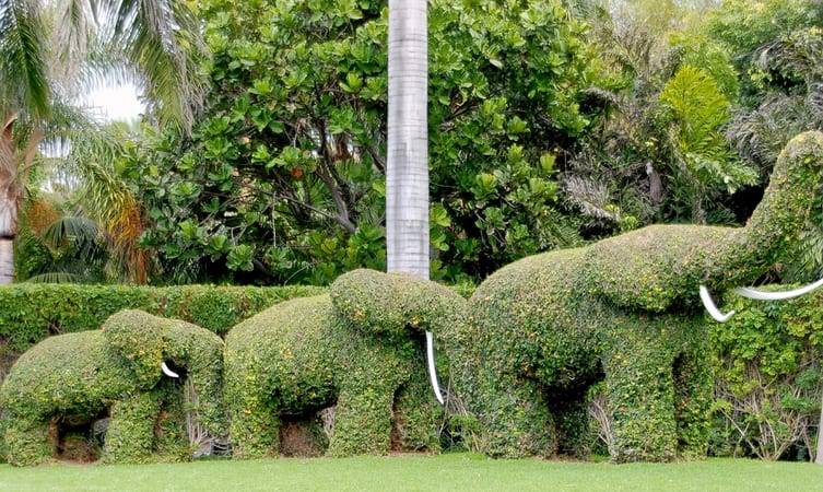 Hotels near Sector 42 Attawa Chandigarh