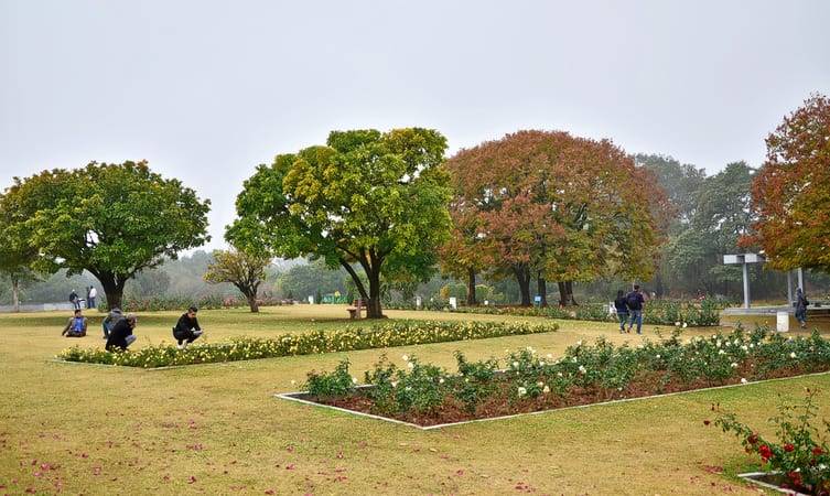 Hotels in Chandigarh